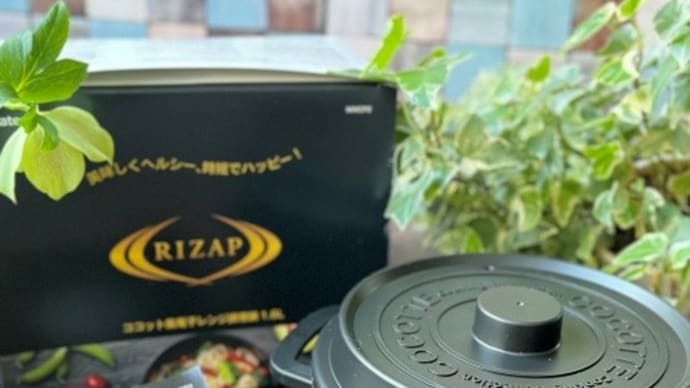 Skate×RIZAP ココット風電子レンジ用鍋