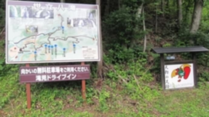聖騎士団の方ですか? -後篇-