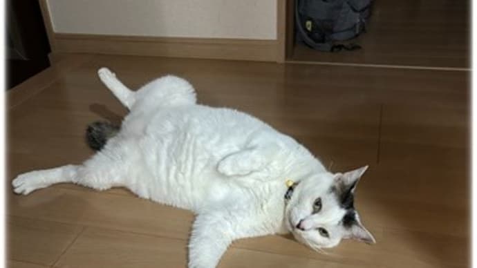 今日は・・・
