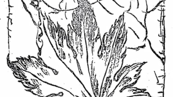 小川芋銭『草汁漫画』「立田姫」の図