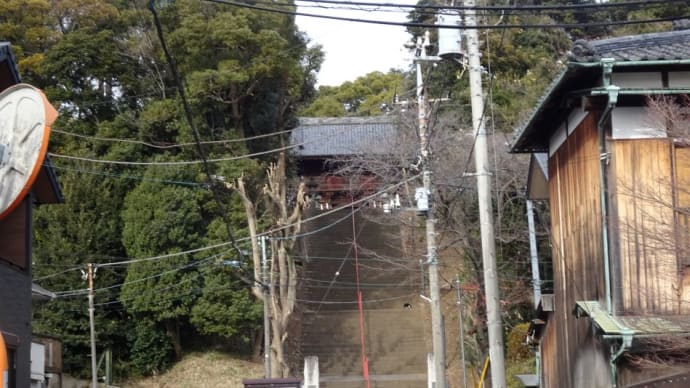 伏姫桜(枝垂れ桜)と階段が気になる真間山・弘法寺!ホナ行きまひょう。