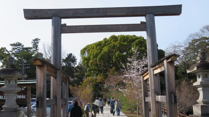 小田原城は北条氏の居城!現在は小田原城址公園と整備!日本さくら名所100選に選定!