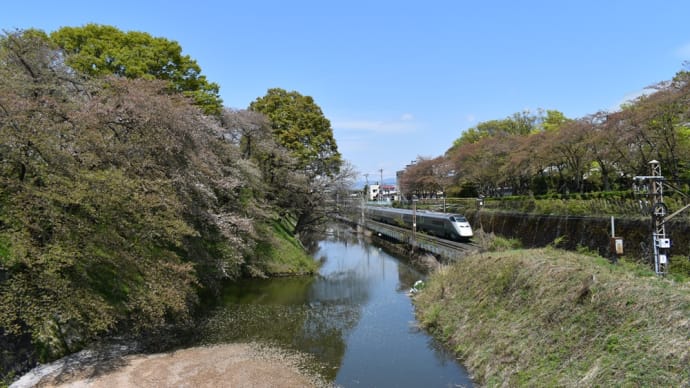 青天に葉桜、銀色新幹線がゆく。