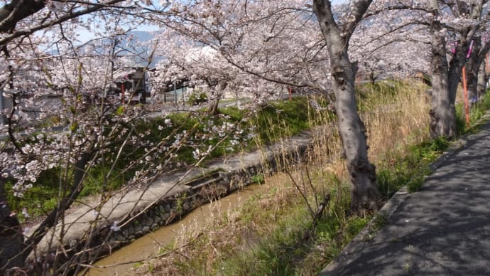 大和の国中・奈良盆地1周ウォーク③〜神話のふるさとの古道「葛城古道から巨勢の道を行く」