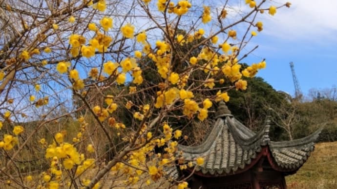 令和6年(2024年)厄年の方 冠嶽神社