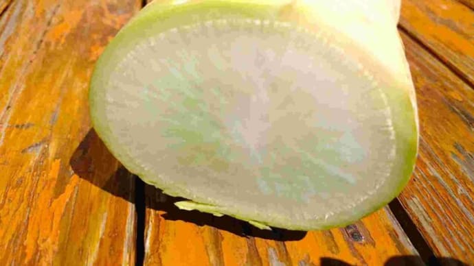 大根おろしで食べてます