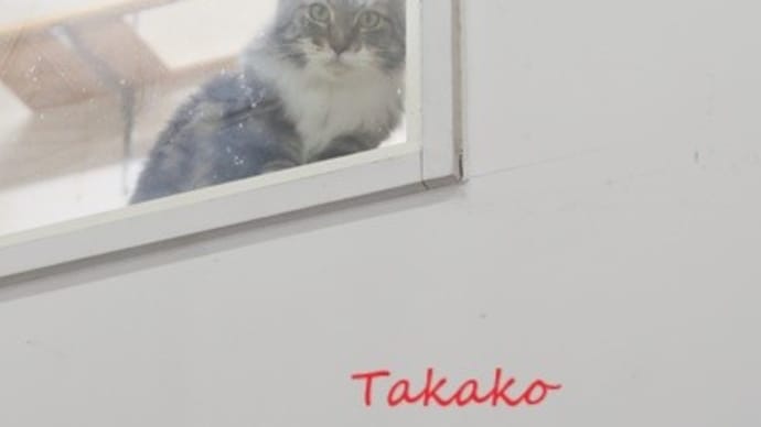 見てるね