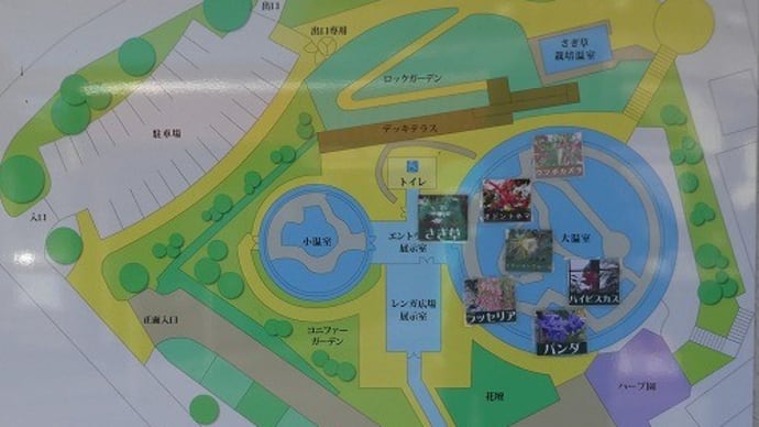 手柄山温室植物園 小温室(砂漠植物)