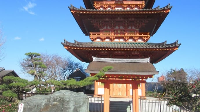 ここの五重塔を見るのは初めてです!今月見た他の五重塔もアップ致しましょう。