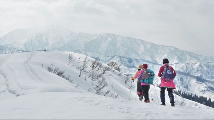 春の兆し 大力山 2(3/10)