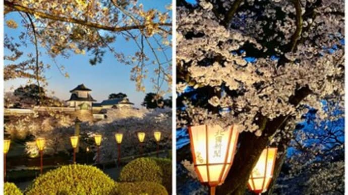 日本人を分断した方法 隠された戦争だった。