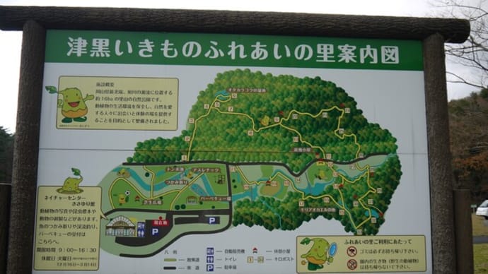 蒜山・大山旅行@津黒いきものふれあいの里と山乗渓谷(11月20日)