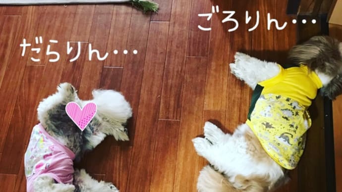 相変わらずのステイホーム。