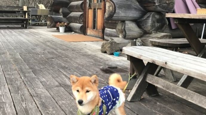 2匹連れて秋の行楽・・・蓼科