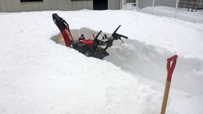 【2/11(火:建国記念の日) ドッグランの雪の通路で遊びました Vol.1 ~コンデジ:前編~】