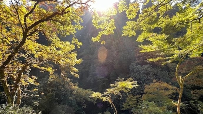 高千穂スピツーリング 荒立神社と天岩戸神社と天安河原でちょっとした写真とか?