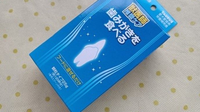 2023年の猫news⑫ 今の所こうするしかない