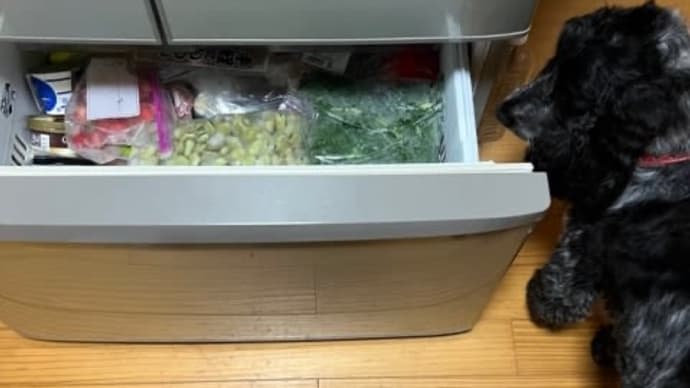 こちらは線状降水帯にかかると警報、子供たちは熱波で40度超え