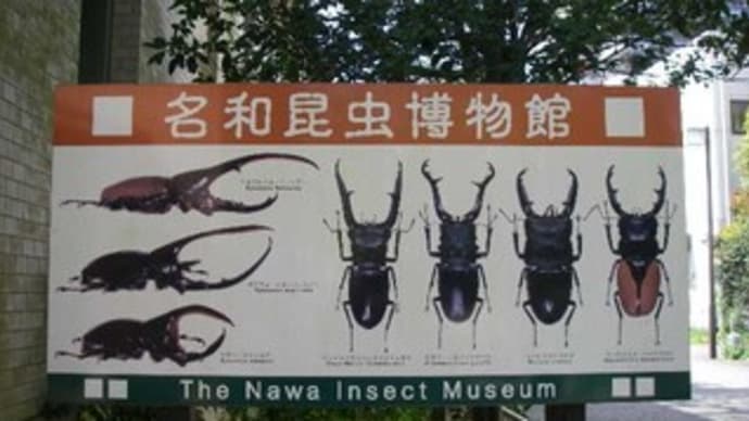 【名和昆虫博物館】Vol.1