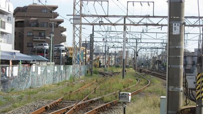 20-Oct-2007 さいわい緑道