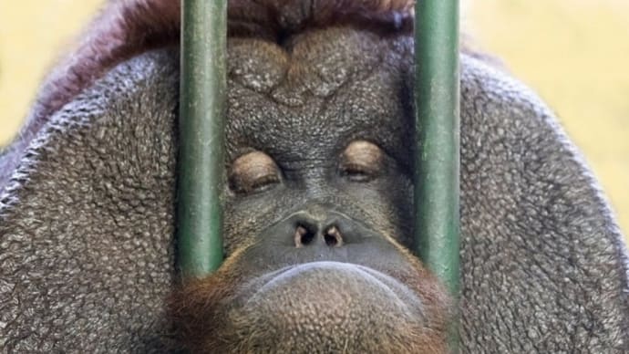 脳みそフラットにすりゃ分かる事…