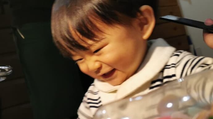 『今日の夜はイチャイチャ出来ないので朝からみらんちゃんとお戯れ・・・』