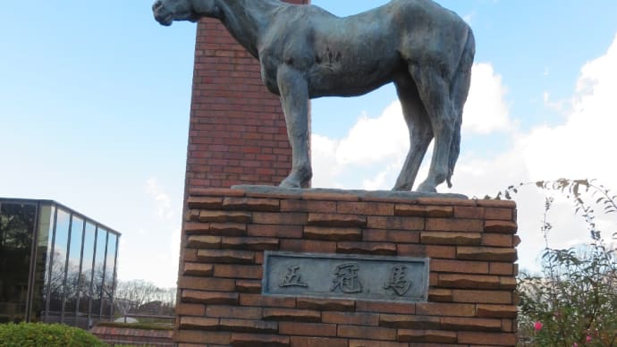 横浜競馬場跡地(以前は根岸競馬場)!今でも建物や面影は残っています!