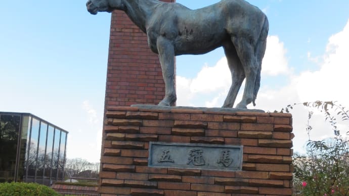 横浜競馬場跡地（以前は根岸競馬場）！今でも建物や面影は残っています！