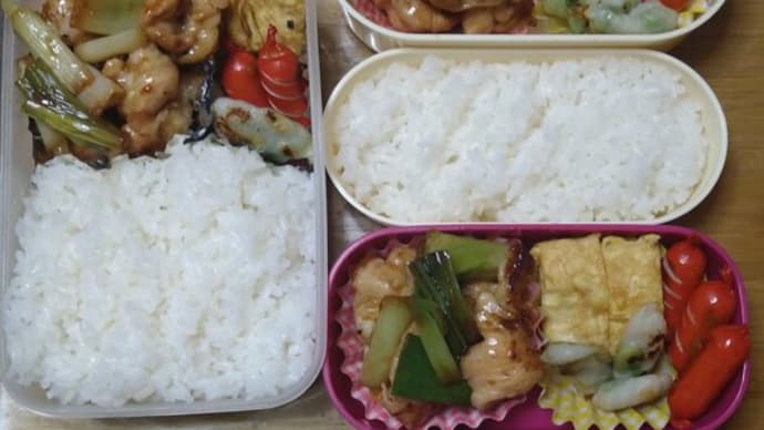 我が家のお弁当(∩´∀`)∩ワーイ 2023/08/11とその前