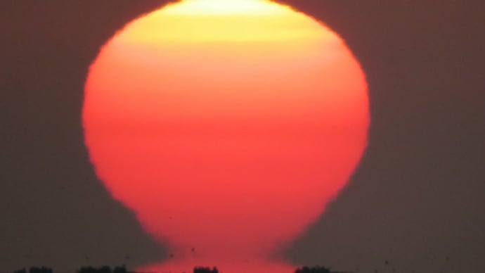 1月15日の達磨夕日/1