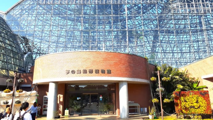 散策！東京 ： 夢の島熱帯植物館で熱帯の植物を見る。　あとオシャレカフェ。