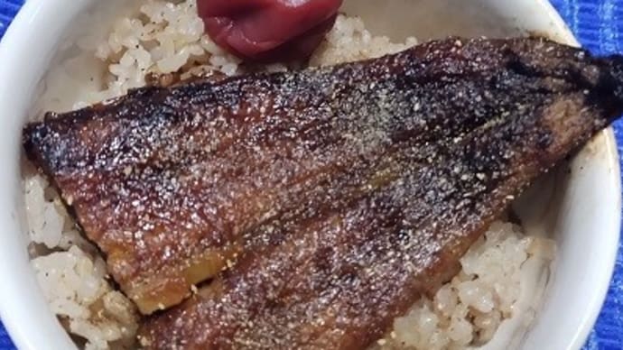 【03/26遅い昼食】鰻蒲焼尾側でミニ鰻丼、梅干しも追加したんだね：P