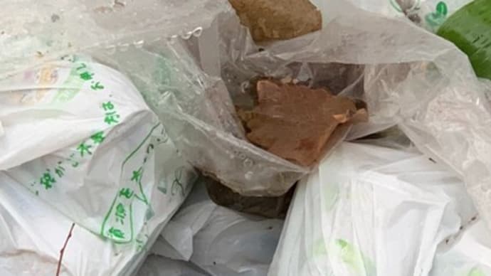 缶の大量不法投棄
