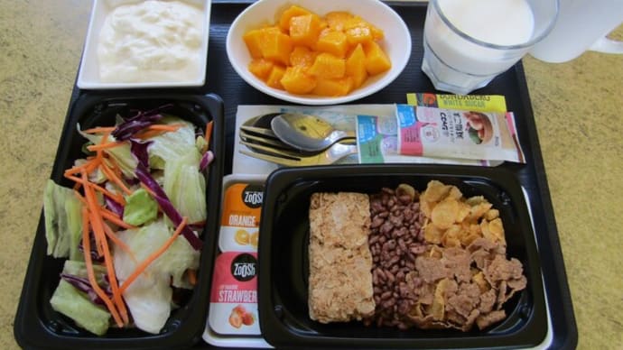 なんちゃって機内食「どこでも機内食_152」ケアンズ クイーンズコート1