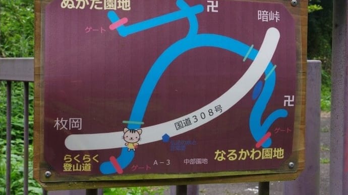 暗峠を越えて枚岡展望台へ