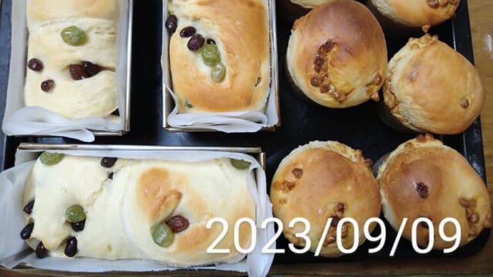 焼きまくる、パンとパウンドケーキ　2023/09/10