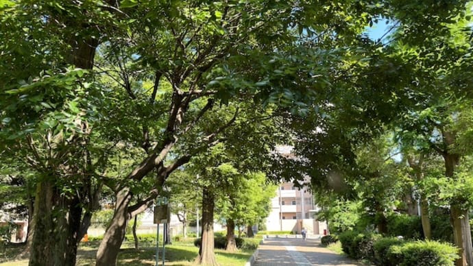 5月下旬の溝口緑地