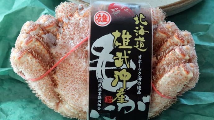 雄武町　毛ガニ