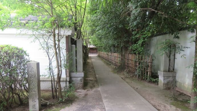 119-3光格天皇父慶光天皇