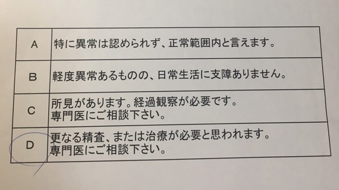 心臓ドックの結果