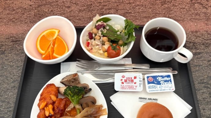 なんちゃって機内食「どこでも機内食_194」アシアナ ビジネスクラスラウンジ_韓国