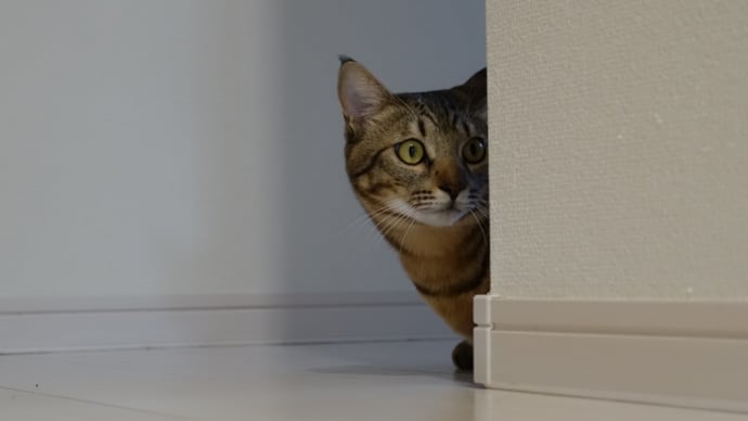 人生初!