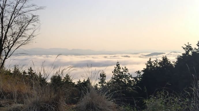 濃霧の濃い霧の海