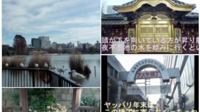 師走散歩 : 不忍池・本郷・上野・界隈 👣