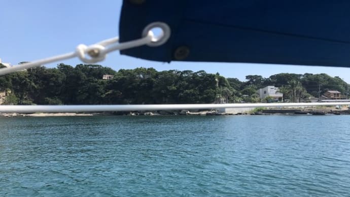 真夏の海のひと時