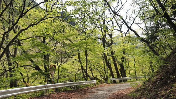 ★初めて行った横川渓谷の奥が素晴らしかった① 2022