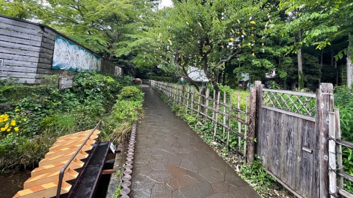 雨の日散歩〜アウトドアギャラリー