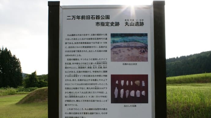 7月11日(金)移動日記