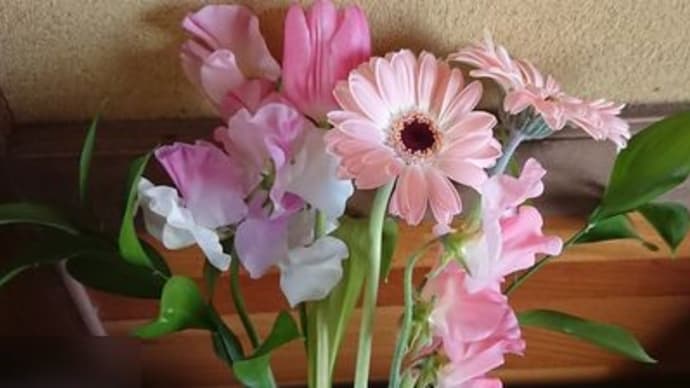 やはり花は良いなぁ!!