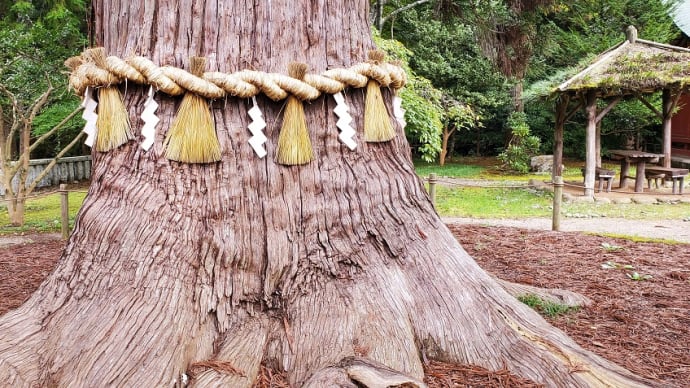 40年かかってやっと塩竈神社